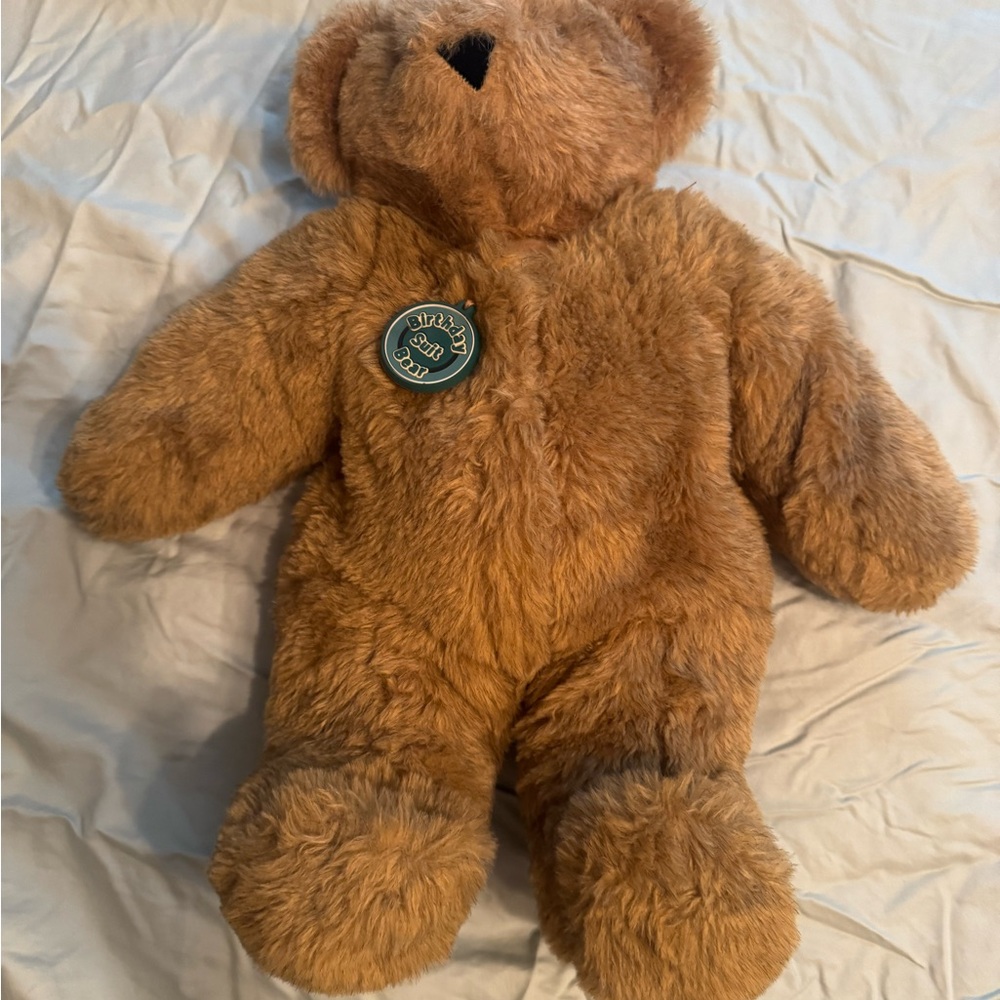 Vermont Teddy Bear Birthday Suit Bear